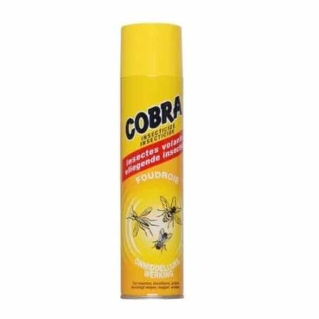 CI spray desinfect. 1 pièce